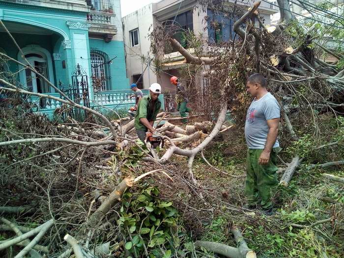 Brigadas Forestales de Mayabeque y Pinar del Río apoyan recuperación en La Habana. Fotos: Carlos Serpa Brigadas Forestales de Mayabeque y Pinar del Río apoyan recuperación en La Habana. Fotos: Carlos Serpa