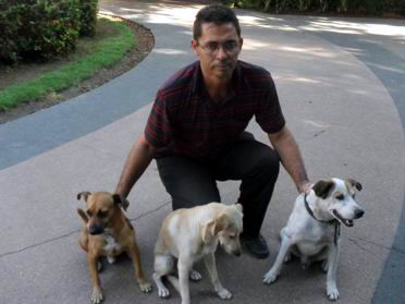 perros guardianes de la Universidad de La Habana. Foto: Teresa Valenzuela