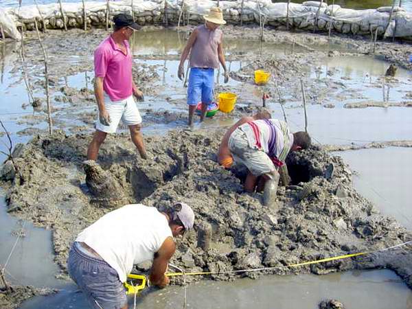 En Cuba hay unos 3 mil 200 sitios arqueológicos aborígenes 