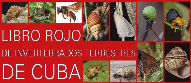 Presentarán libros científicos por la Jornada de la Cultura Cubana