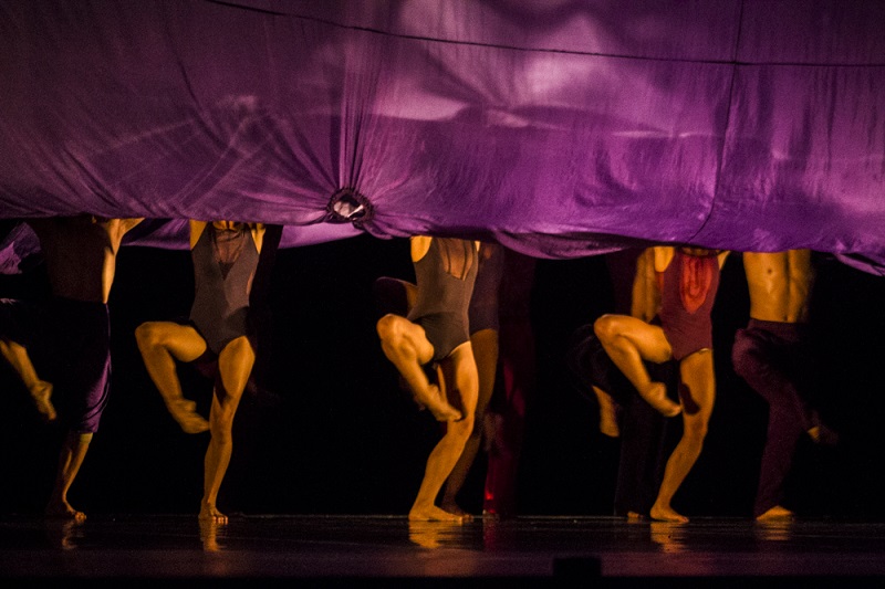 Acosta Danza sutileza  y fuerza en un espectáculo único (+Fotos)