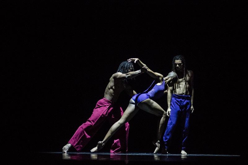 Destinos, la nueva temporada de presentaciones de la compa��a Acosta Danza