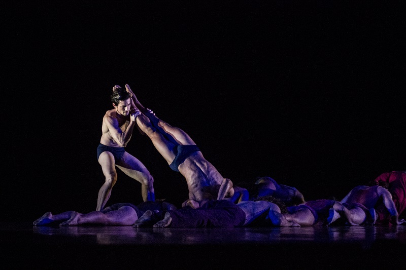 Destinos, la nueva temporada de presentaciones de la compa��a Acosta Danza