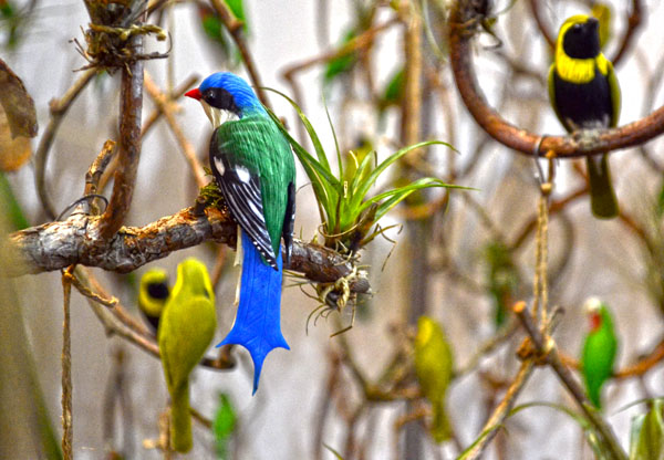 Creativas ofertas en FIART 2014. Foto Abel Rojas Barallobre