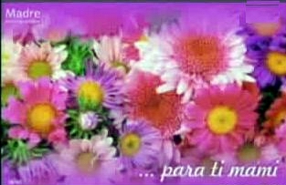 D�a de las Madres