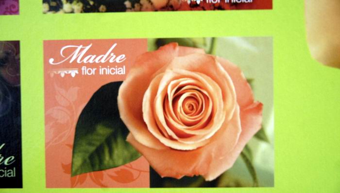 Una novedad en las tarjetas para las Madres. Foto: Luc�a Sanz