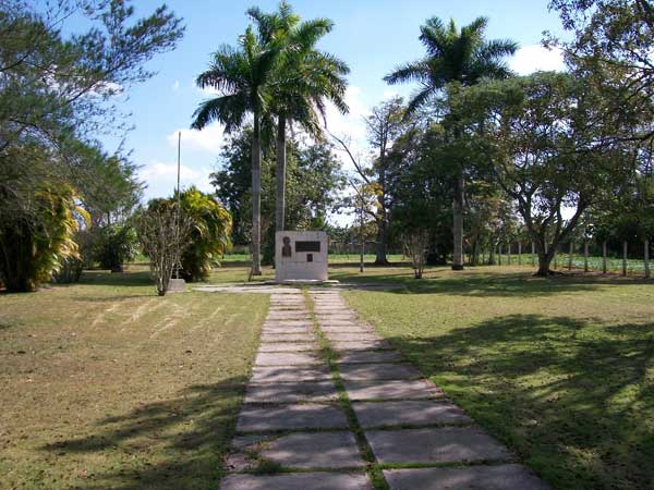 Por rediseñar el Caimito del Hanábana Por rediseñar el Caimito del Hanábana