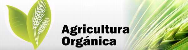 Cuba por sustituir importaciones de semillas 