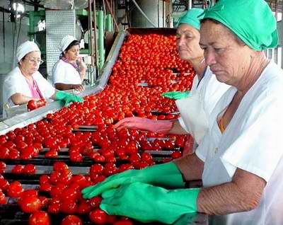 Incrementa Camagüey producciones de conservas y vegetales