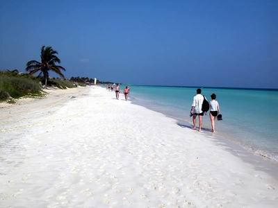 Cuba�s Tourism Offers Attract Visitors to French Fair