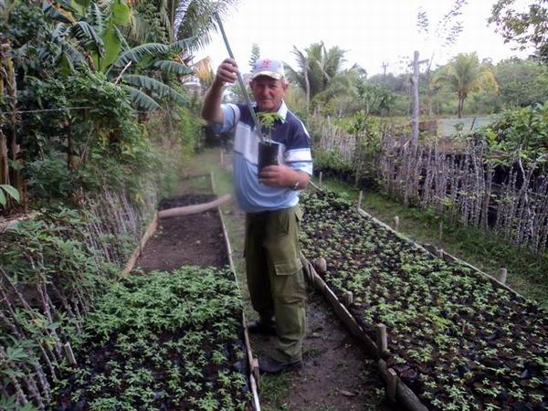 Rubido and his Daily Working Commitment