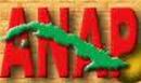 logo de la ANAP