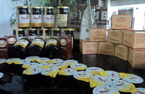 Muestras de miel de abeja en el Encuentro Latinoamericano de Apicultores. Foto José Cabrera Peinado. Muestras de miel de abeja en el Encuentro Latinoamericano de Apicultores. Foto José Cabrera Peinado.