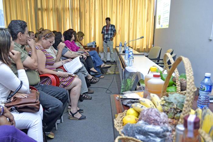 Agricultura urbana en Cuba: viaje de la semilla a la hortaliza. Foto: Abel Rojas Barallobre