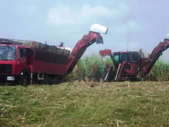 Toques finales a la zafra azucarera en Holgu�n