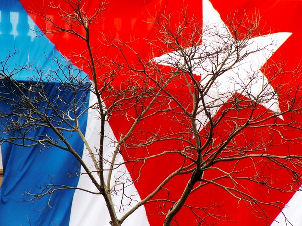 La Bandera Cubana se puede usar en las sedes de �rganos, organismos, y otras instituciones del Estado y de organizaciones pol�ticas, sociales y de masas. Foto Abel Rojas Barallobre