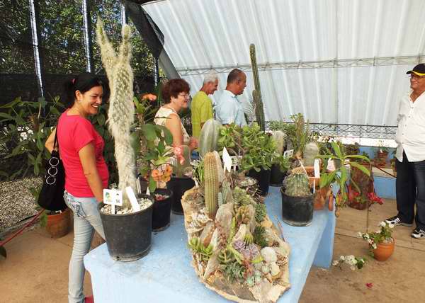 El p�blico disfrut� de las exposiciones en el Festival Nacional de Plantas. Foto Abel Rojas