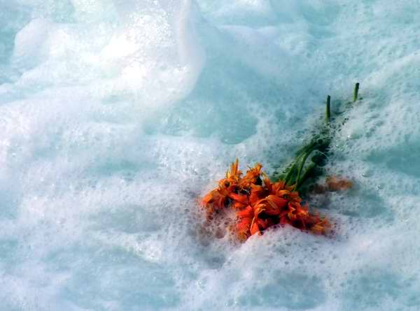 Flores para Camilo Cienfuegos. Foto Abel Rojas