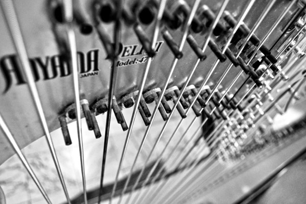 En fotos: detalles sonoros del Festival de M�sica Contempor�nea.Foto Abel Rojas Barallobre