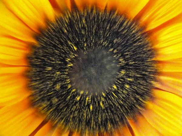 Para lograr este tipo de fotograf�as se debe utilizar un tiempo de exposici�n medianamente largo. Foto: Abel Rojas Barallobre