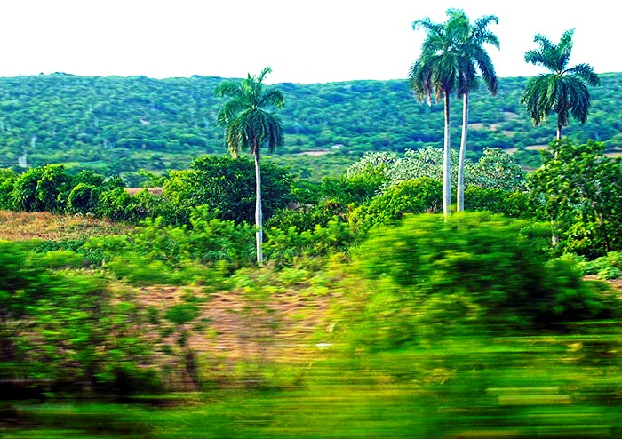 El efecto panning se logra siguiendo un objeto en movimiento con la c�mara mientras presionas el disparador. Foto: Abel Rojas Barallobre