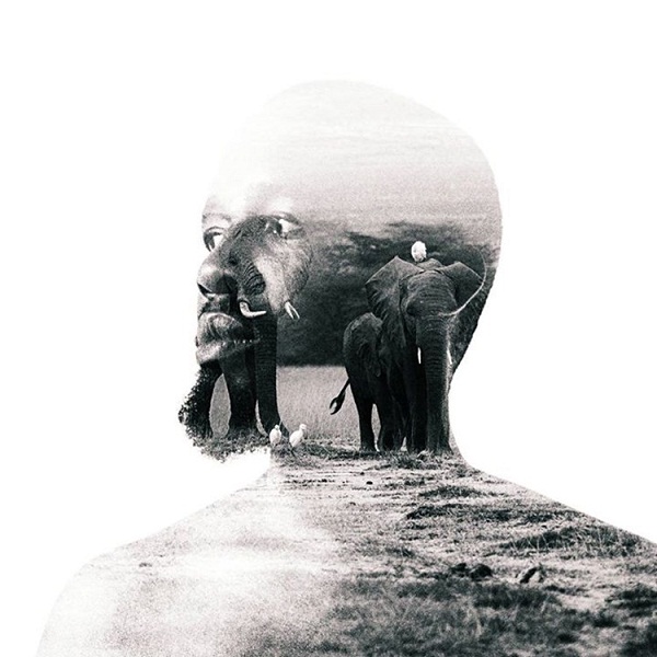 �frica: la humanidad en deuda de gratitud con el llamado continente negro 