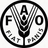 FAO Lauds Cuba’s Urban Agriculture Program FAO Lauds Cuba’s Urban Agriculture Program