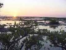 Ciénaga de Zapata, Matanzas