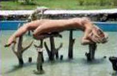 La Fuente de Las Antillas está realizada en ferrocemento con arena rosada de Guamá