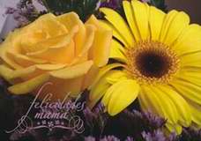 Un Graffiti para mam�