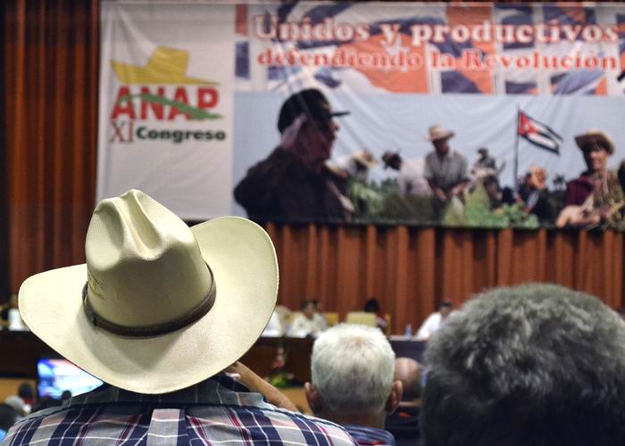Los campesinos cubanos ya están en congreso (+Fotos)