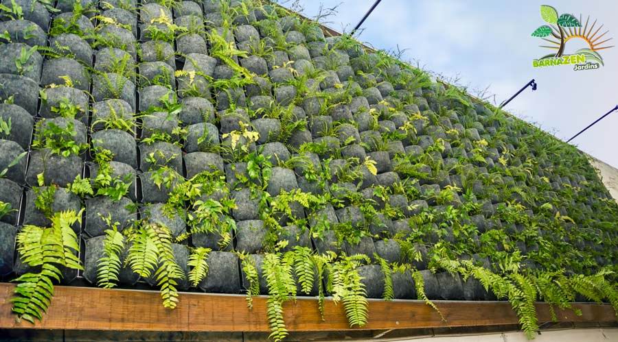 jardines verticales reverdecen paredes