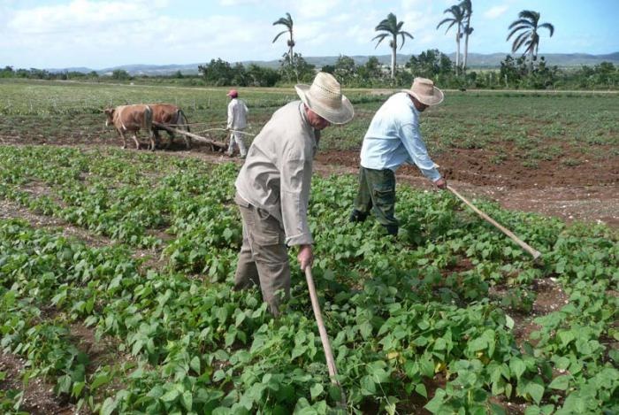 Recordará la ANAP los 64 años del Congreso Campesino en Armas