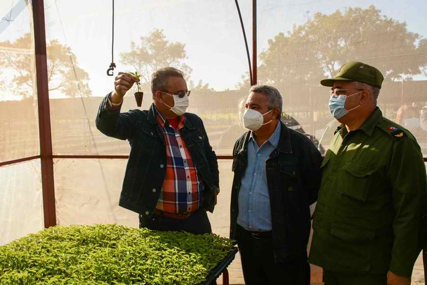 Reconocen labor de la Agricultura Urbana y Familiar en su aniversario 33 de creación 