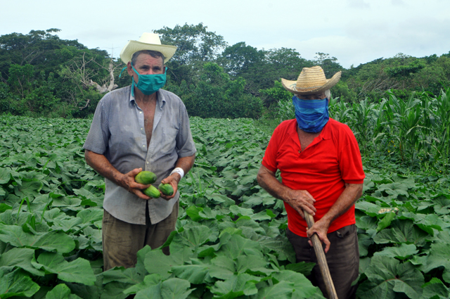 Producción de alimentos una necesidad impostergable