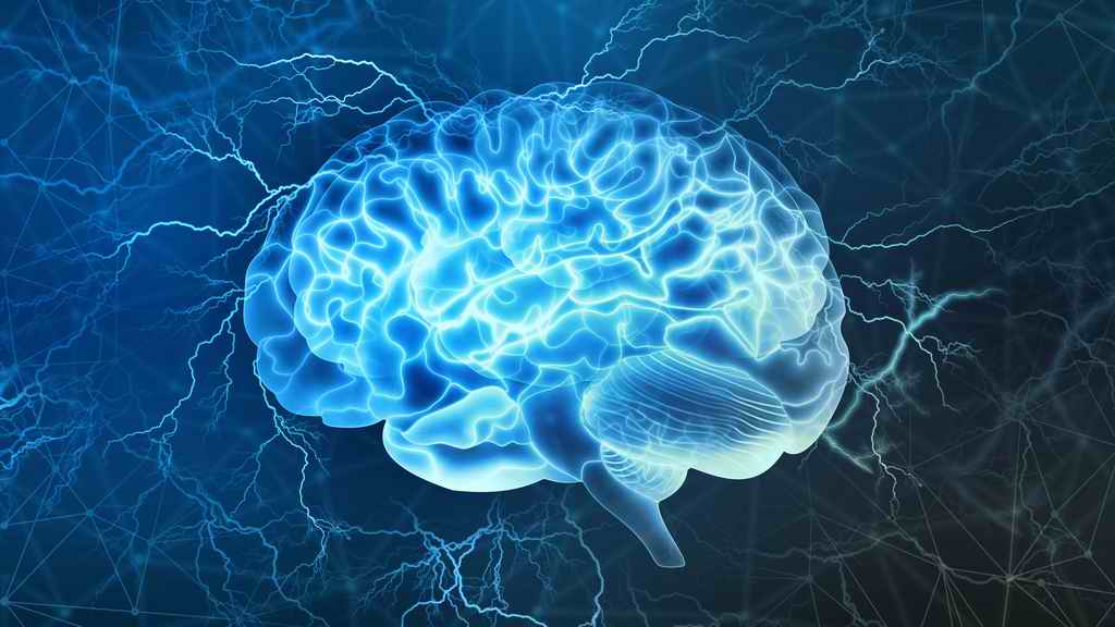 El cerebro, la estructura más compleja y enigmática del universo