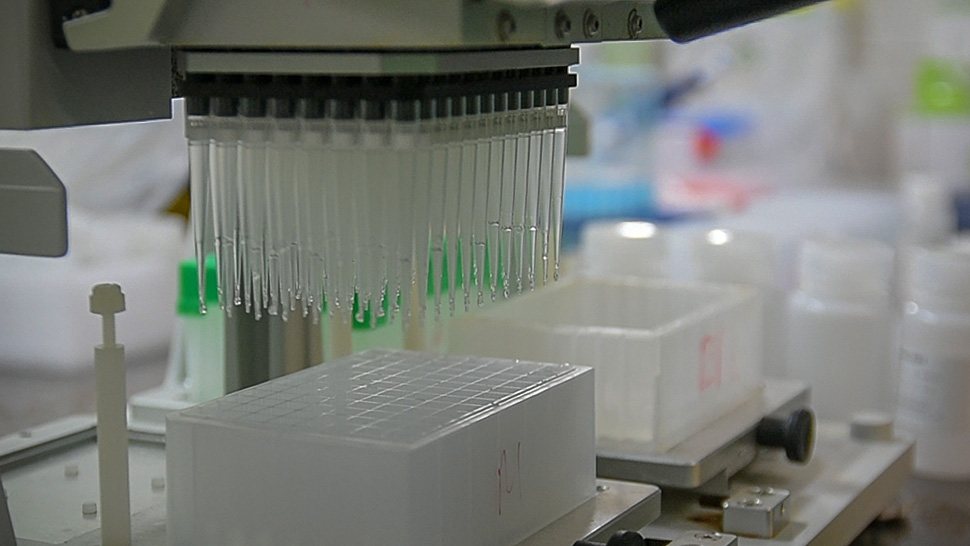 De 400 a 2000 muestras analizadas por día: el salto de un año