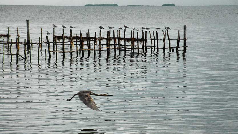 Evalúan vulnerabilidades al cambio climático en Ciego de Ávila 