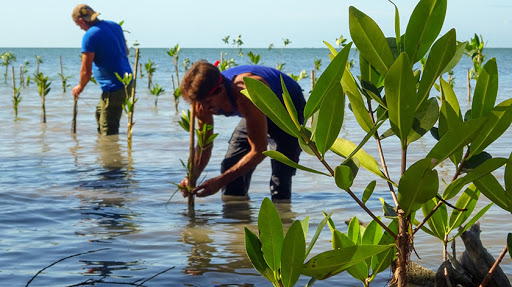 Proyecto Mi costa: adaptación al cambio climático en la zona costera del sur de la Isla
