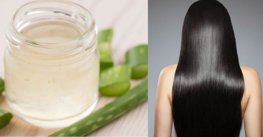 Sábila: Remedio casero muy para el cabello