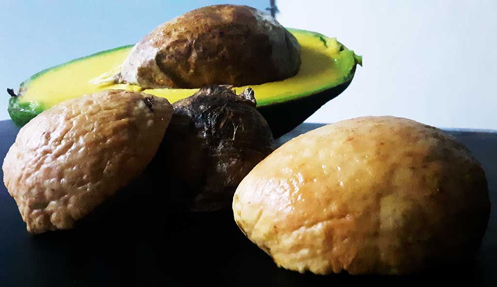 Riquezas que guarda la semilla del aguacate