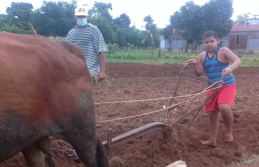 César, el “tornadito” de Manzanillo