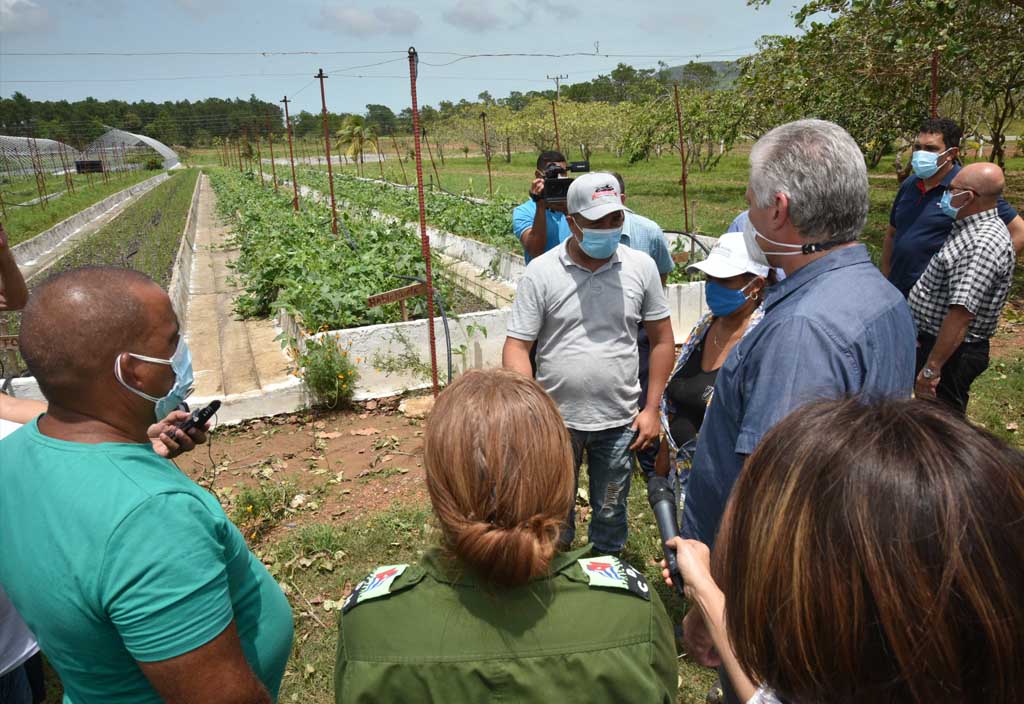 Claves en Cuba para ganar la batalla