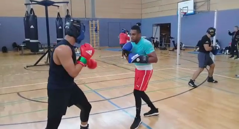Finalizan con éxito boxeadores entrenamientos en Alemania Finalizan con éxito boxeadores entrenamientos en Alemania