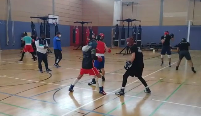Finalizan con éxito boxeadores entrenamientos en Alemania Finalizan con éxito boxeadores entrenamientos en Alemania