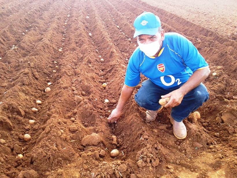 Alexis Dita, Jefe de la granja de la UEB No. 4 