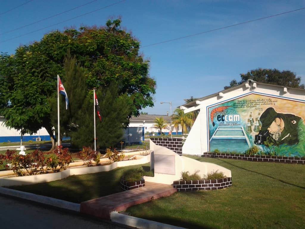 Mayor eficiencia en cultivo artificial del camarón en el oriente de Cuba (+Audio)