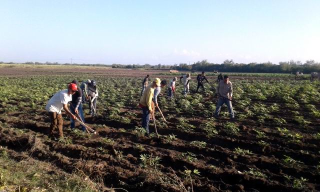 Reconocen en Las Tunas resultados científicos y a la innovación Reconocen en Las Tunas resultados científicos y a la innovación