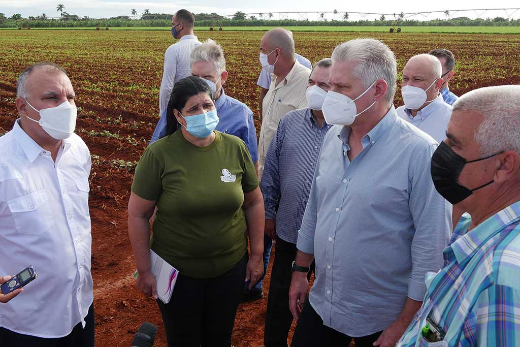 Caminar por la senda de la Ciencia e Innovación en la producción de alimentos