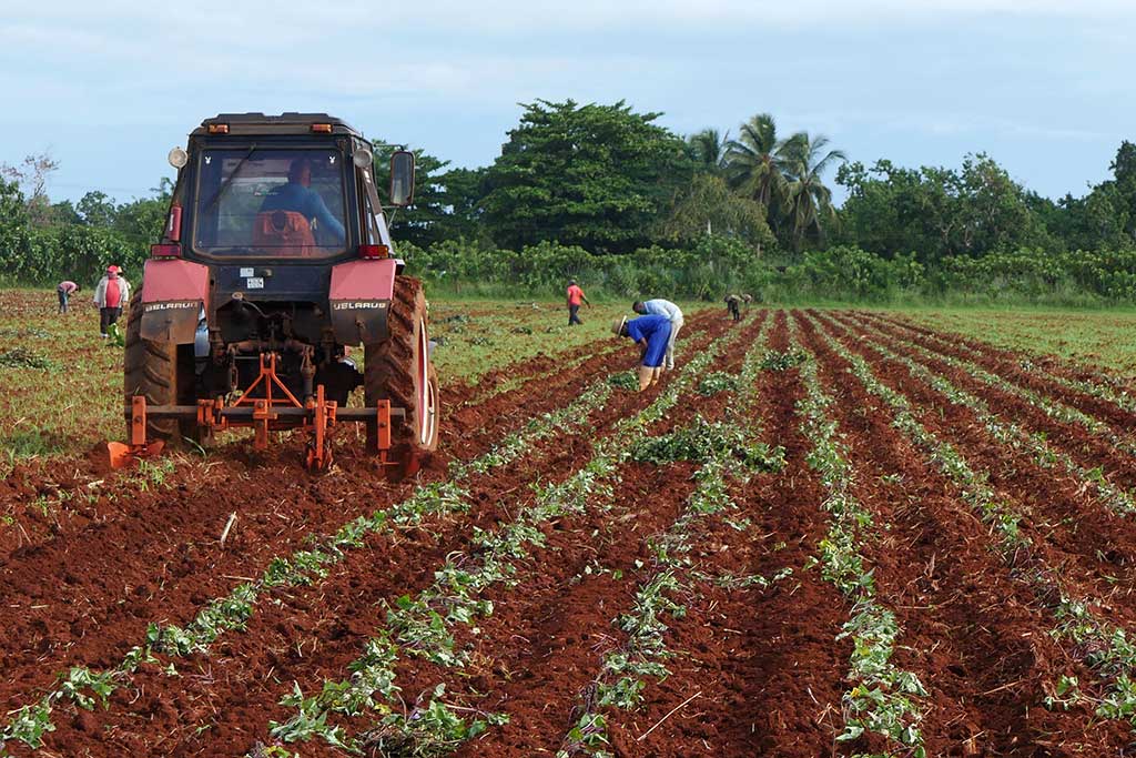 Caminar por la senda de la Ciencia e Innovación en la producción de alimentos